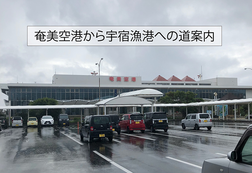 奄美空港から宇宿漁港への道案内