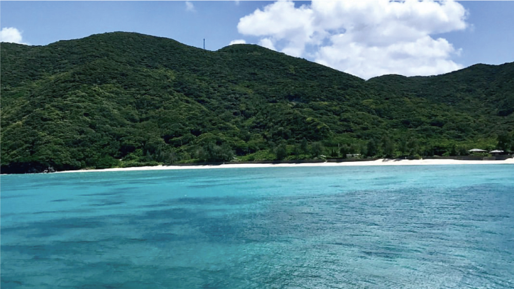 奄美大島 遊漁船 FISHING BOAT ジギング キャスティング 餌釣り